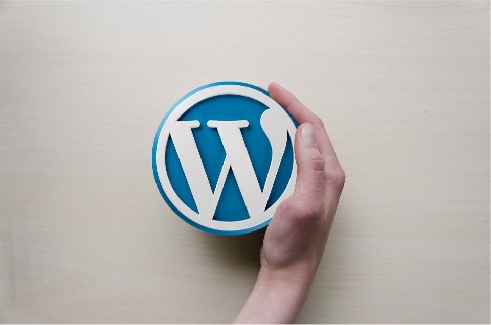 Logo de wordpress rodeado con una mano